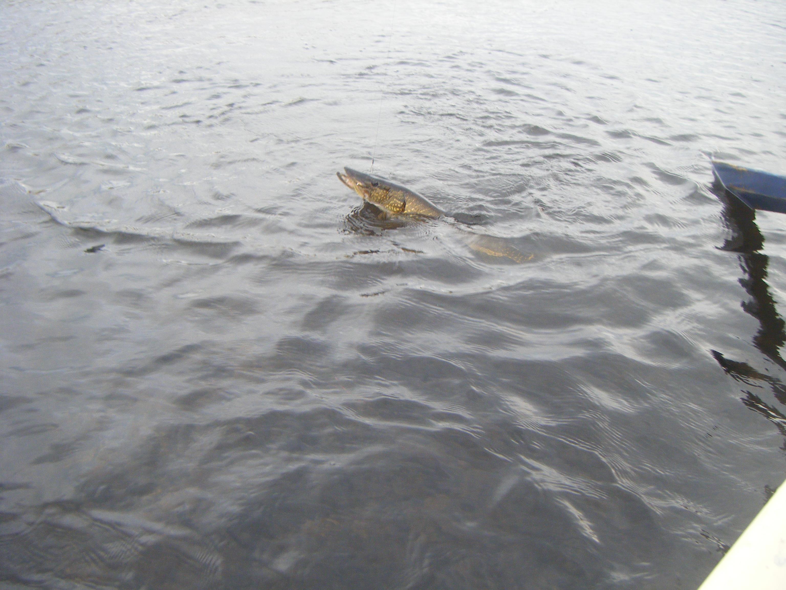 Delta - Picture 239.jpg